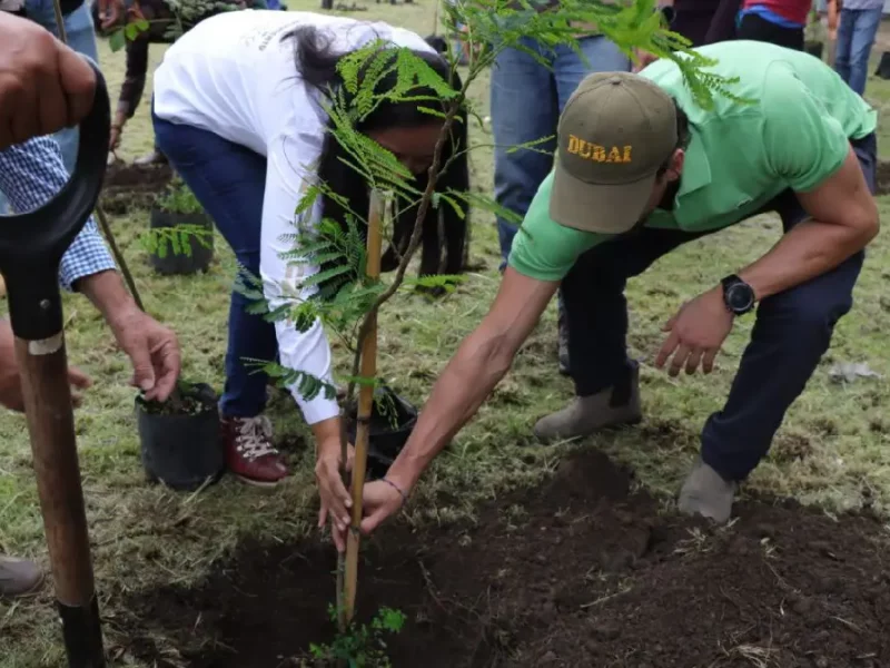 Ariadna Ayala presidenta municipal reforesta en el puente Cantarranas
