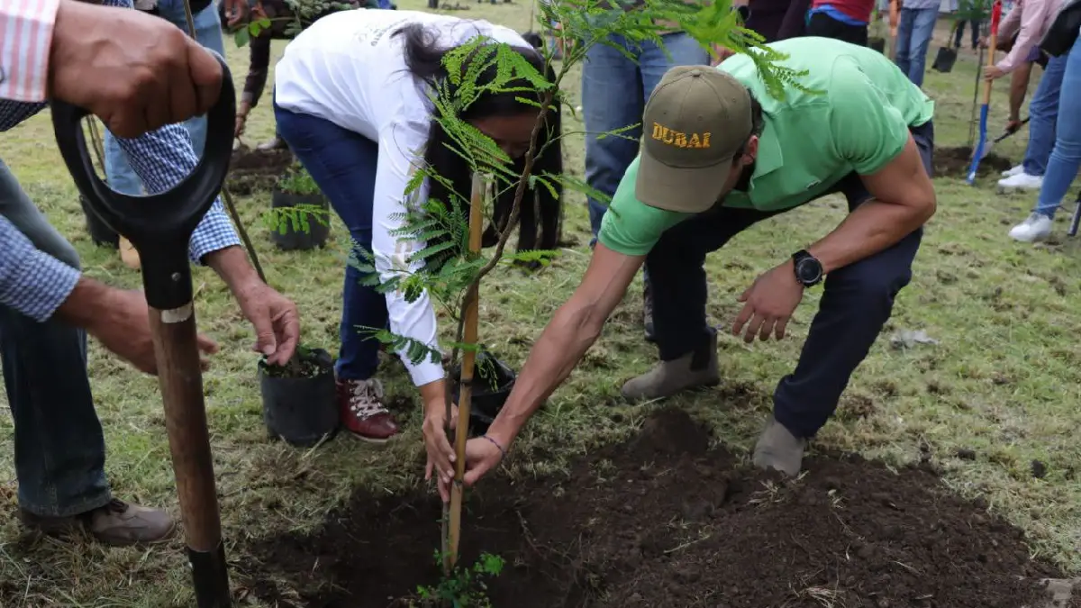 Ariadna Ayala presidenta municipal reforesta en el puente Cantarranas