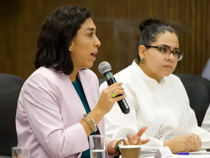 Reformas sobre ciberasedio representan la oportunidad de garantizar seguridad: Norma Pimentel
