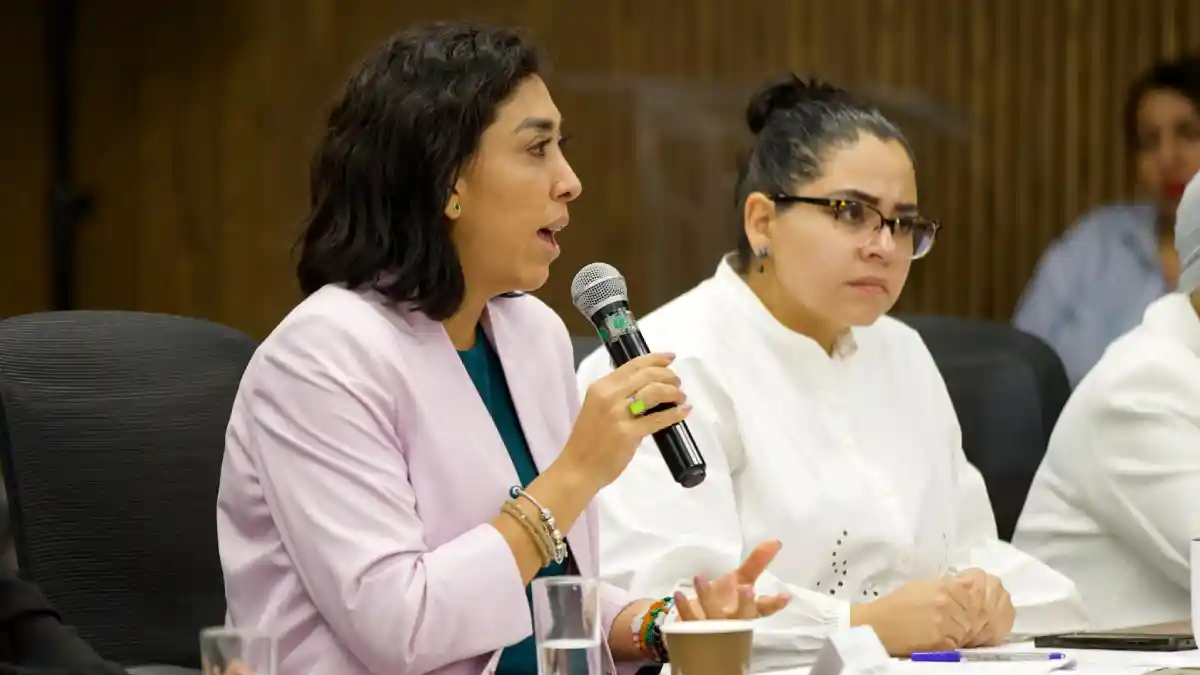 Reformas sobre ciberasedio representan la oportunidad de garantizar seguridad: Norma Pimentel