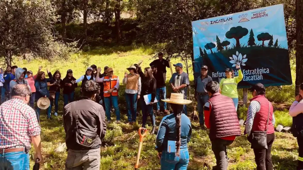 Comunidades de Zacatlán le entran a la reforestación 2025; niñas, niños y padres de familia se suman