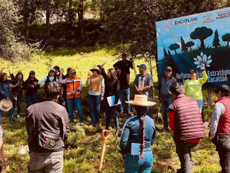 Comunidades de Zacatlán le entran a la reforestación 2025; niñas, niños y padres de familia se suman