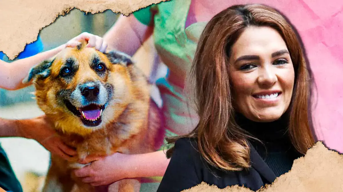 Gobierno de Alejandro Armenta ha rescatado 147 especies víctimas de maltrato animal en Puebla