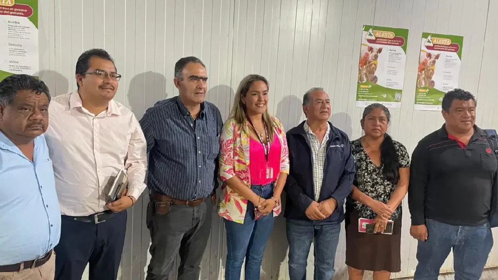 Refuerza Gobierno de la Ciudad acciones para prevenir la propagación del gusano barrenador