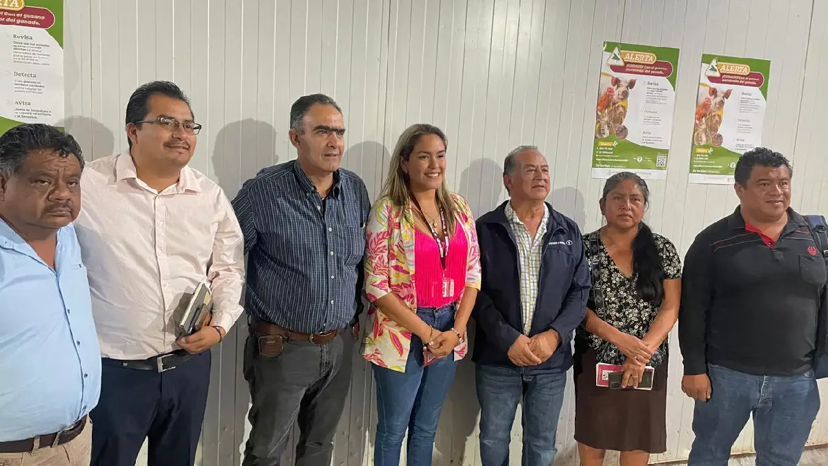 Refuerza Gobierno de la Ciudad acciones para prevenir la propagación del gusano barrenador