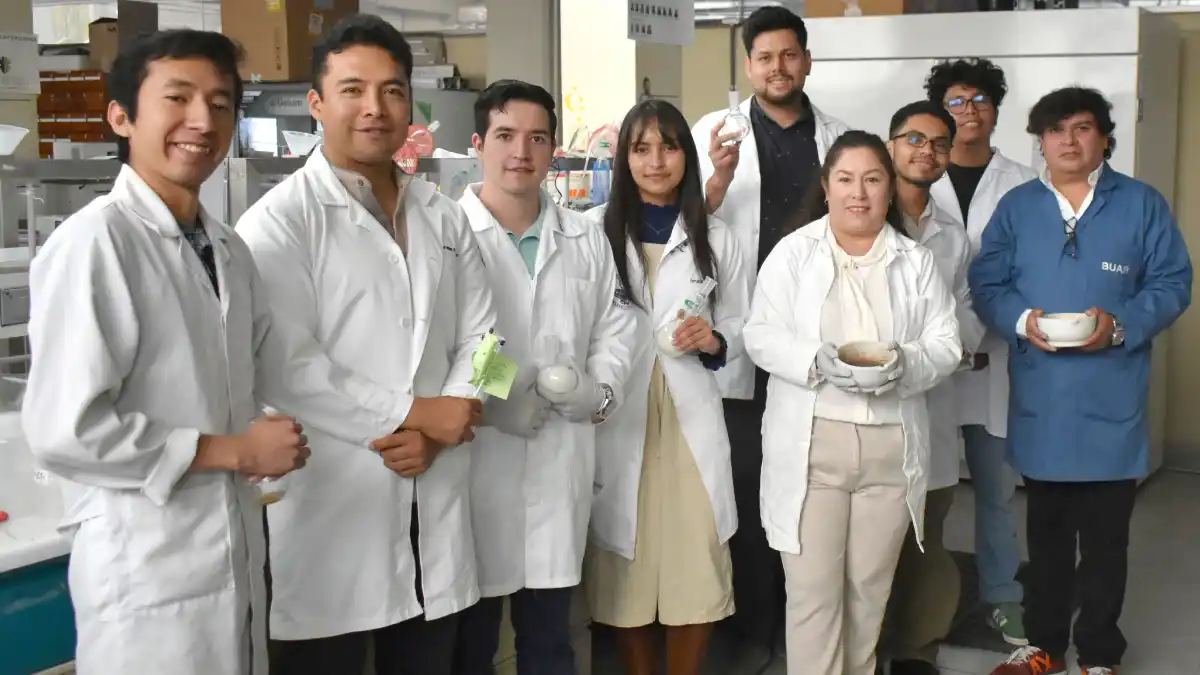Obtiene investigadora patente por compuesto que reduce proliferación de células malignas en cáncer de mama y cérvico uterino