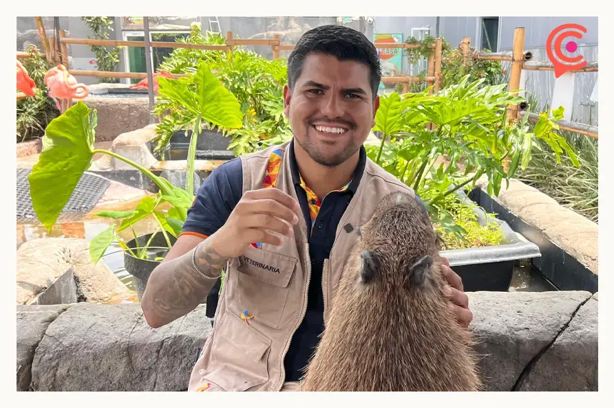 Celebra el Día del Capibara en Acuario Michin de Puebla con estas actividades