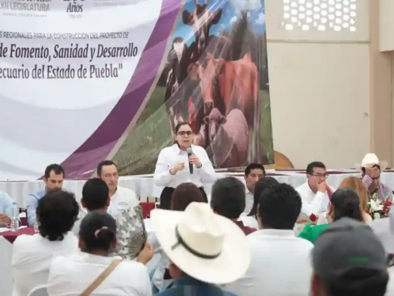 Congreso inicia Foros para construcción de “Ley de Fomento, Sanidad y Desarrollo Pecuario”