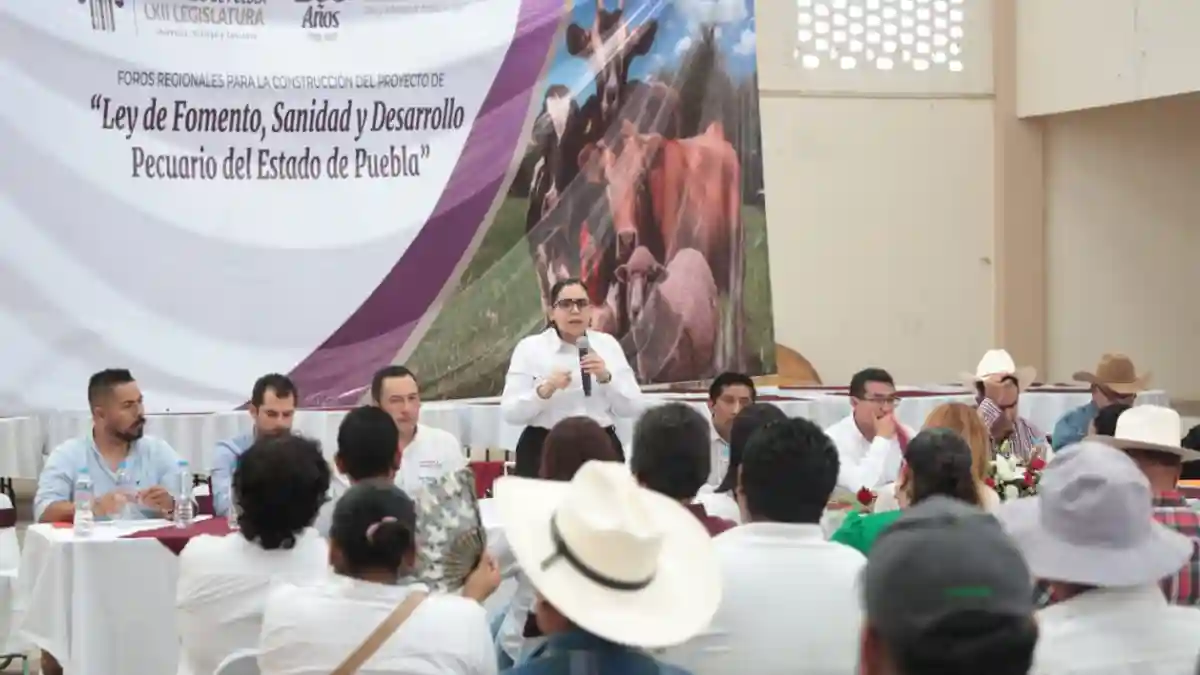 Congreso inicia Foros para construcción de “Ley de Fomento, Sanidad y Desarrollo Pecuario”