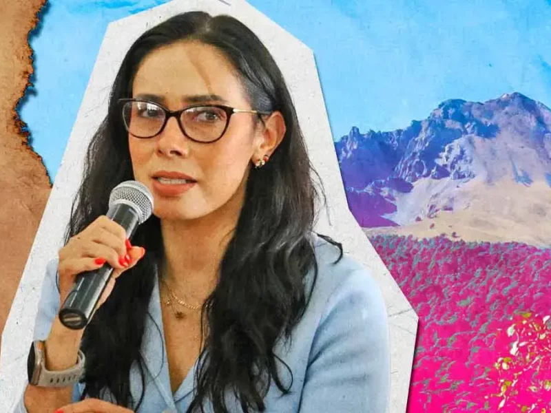 Ecoparque La Malinche servirá para recuperar lo afectado por la tala clandestina: Smadsot