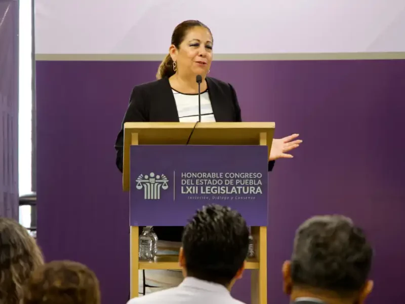 Congreso, comprometido con la participación ciudadana: Laura Artemisa