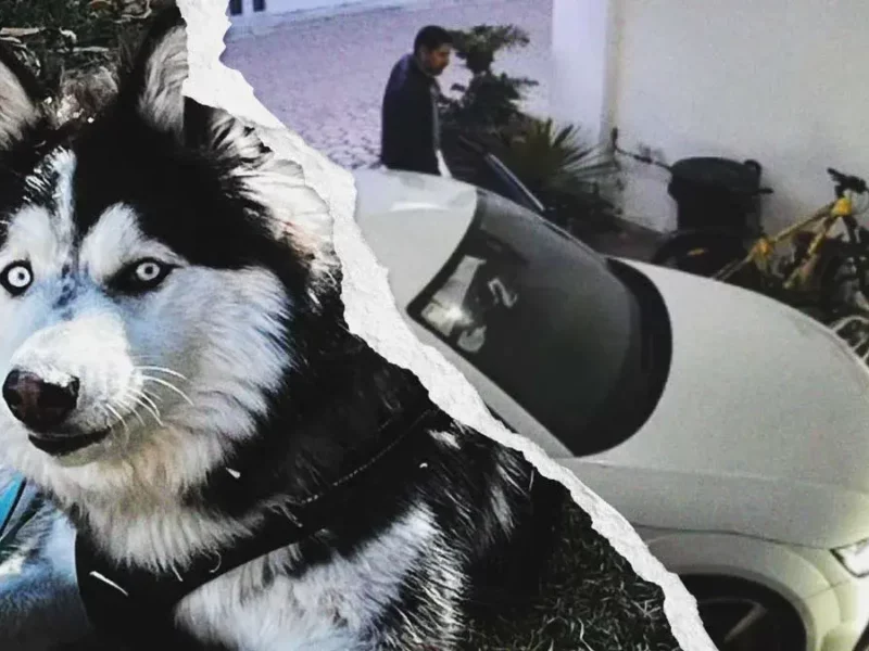 Borracho invadió cochera e intentó atropellar a un perro en Cholula, Puebla; armado amenazó a vecinos