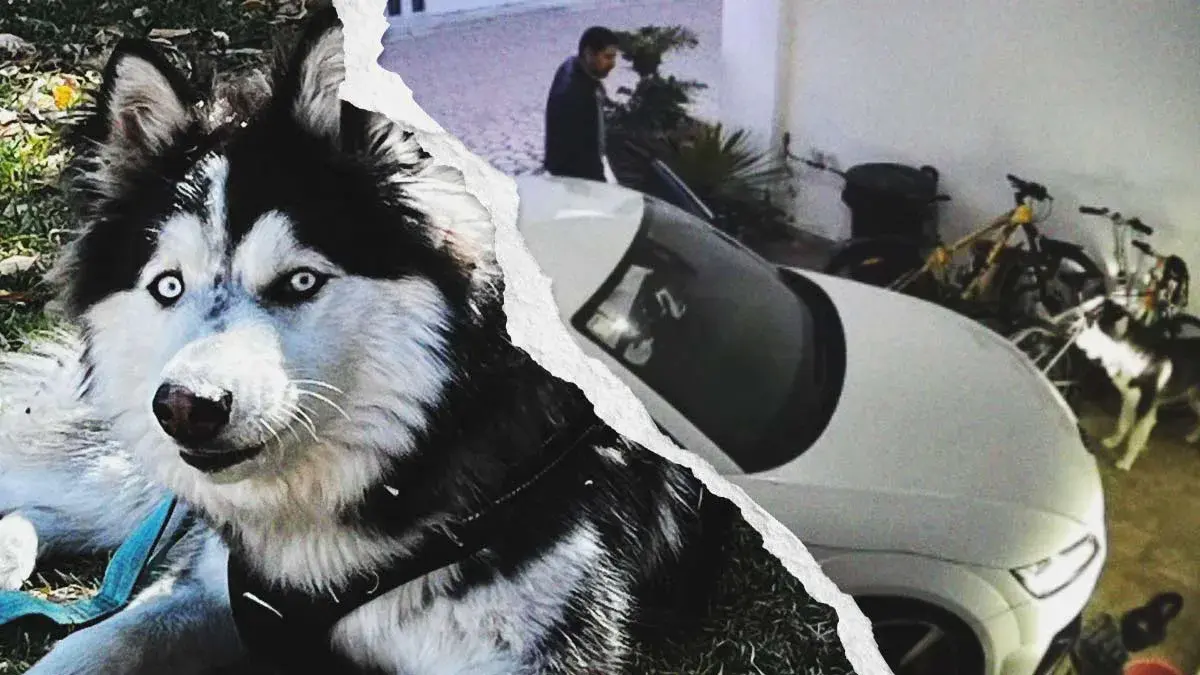 Borracho invadió cochera e intentó atropellar a un perro en Cholula, Puebla; armado amenazó a vecinos