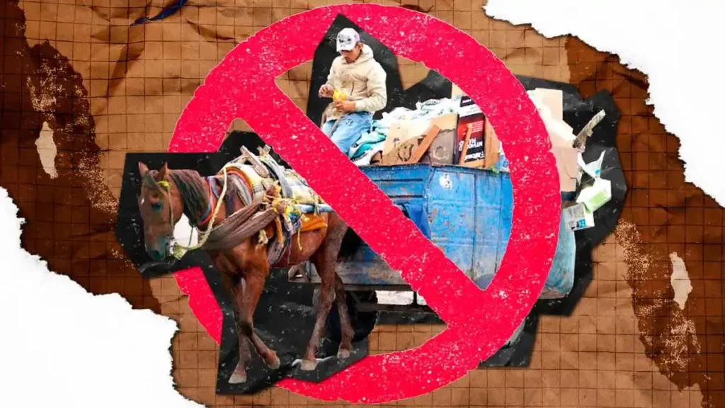 Prohíben oficialmente uso de caballos para recolectar basura en Texmelucan, Puebla