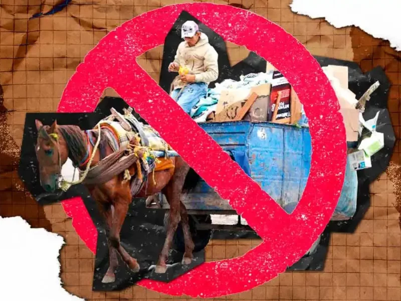 Prohíben oficialmente uso de caballos para recolectar basura en Texmelucan, Puebla