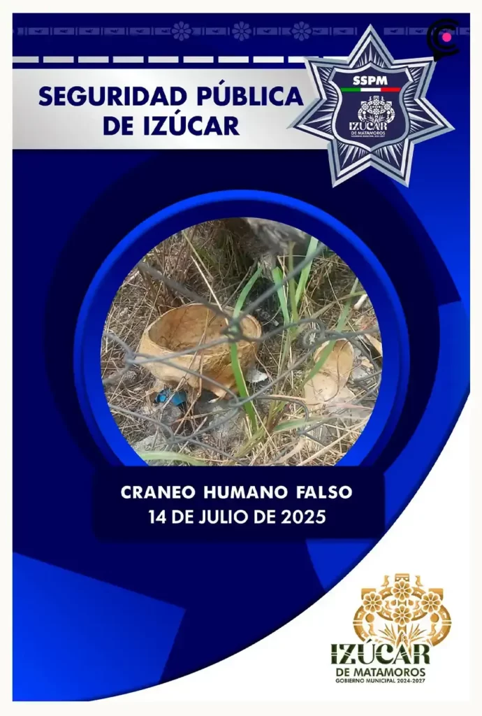 Supuesto cráneo humano provoca movilización policiaca en el Centro de Izúcar de Matamoros; era de resina