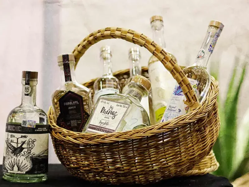 Mezcal, oportunidad socialmente justa que impulsa desarrollo: Laura Artemisa