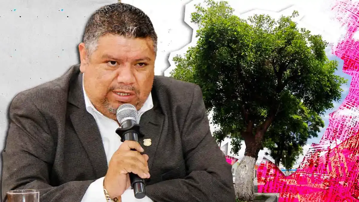 Emiten convocatoria para reconocer árboles como “ejemplares patrimoniales” de Puebla capital