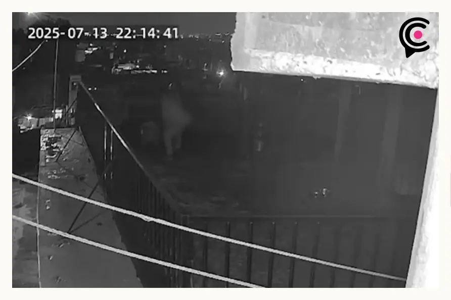 Denuncian que ocho perros sobreviven entre golpes, heces y abandono en Ignacio Romero Vargas, Puebla