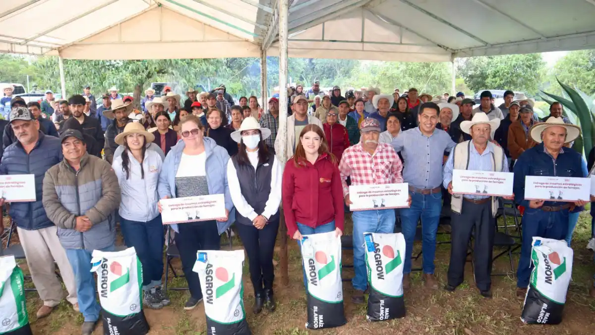 En Ayotla, Bety Sánchez inicia programa de entrega de maíz mejorado para forraje; beneficia a más de 540 productores