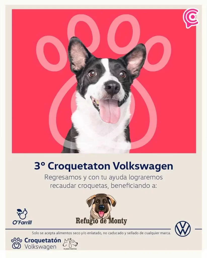 Así puedes sumarte al Croquetaton de Volkswagen Puebla en apoyo al Refugio de Monty