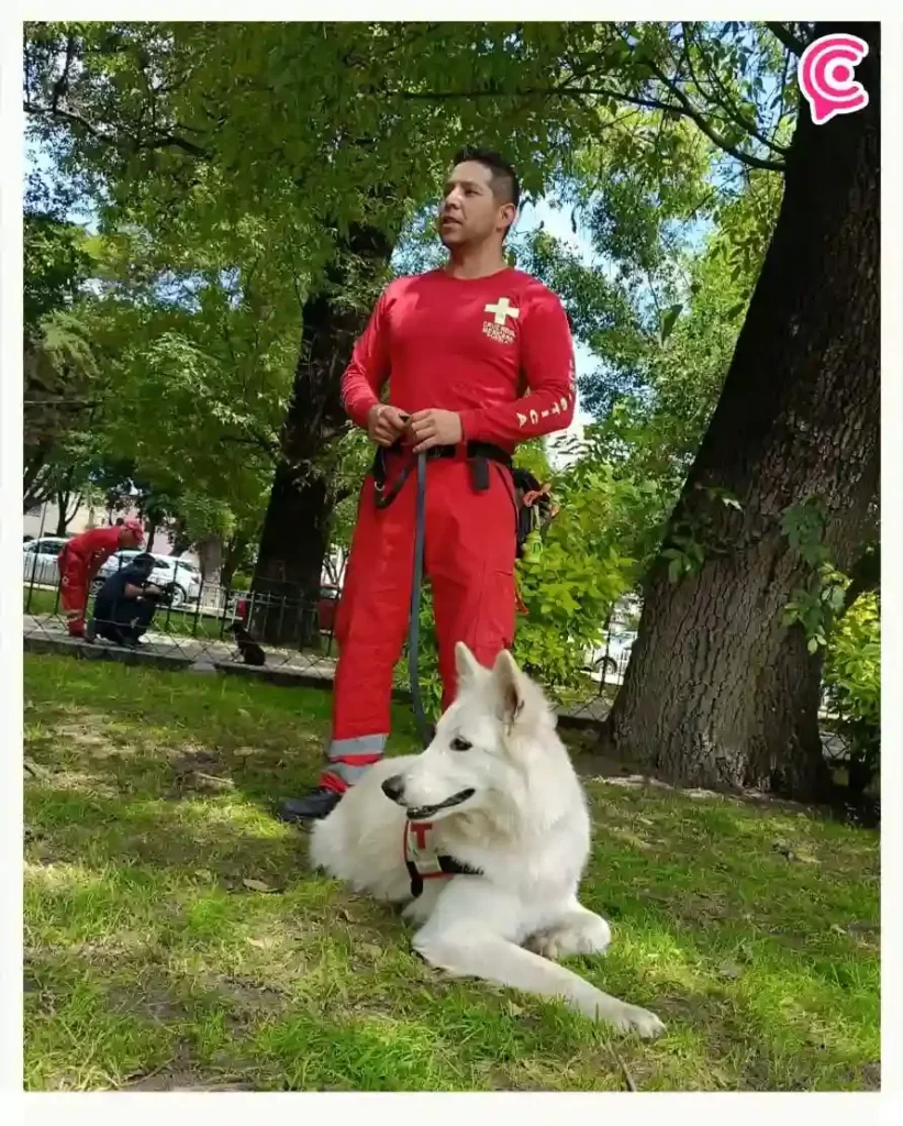 Aysha, primera perra de terapia de la Cruz Roja Puebla para víctimas de desastres