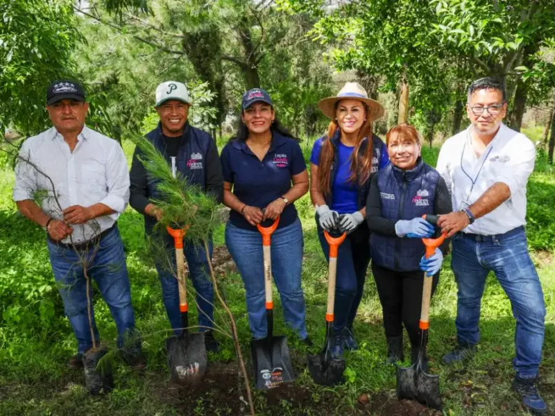 Cerro de San Miguel se consolida como pulmón verde de San Andrés Cholula