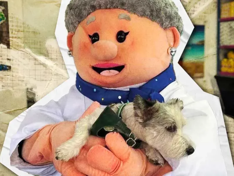 Llega Simi Pet Care a Puebla; el primer consultorio veterinario ya tiene ubicación confirmada