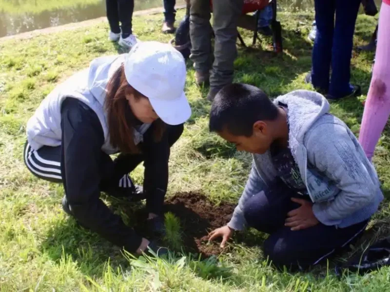 Con reforestación, Zacatlán garantiza más agua