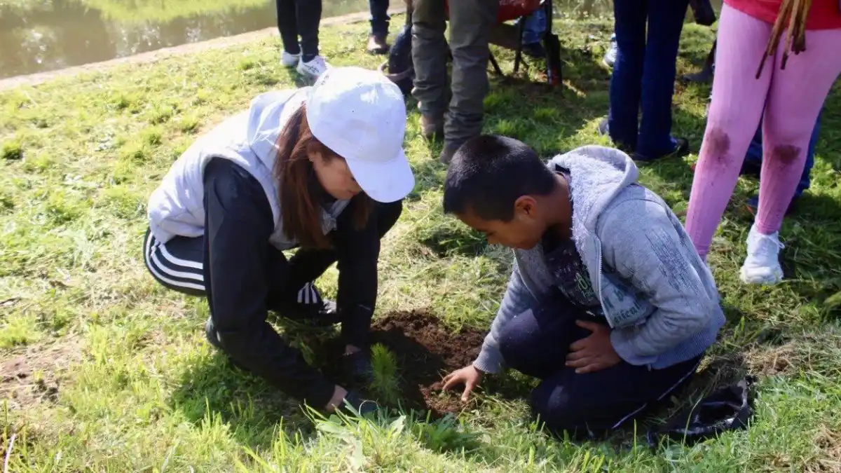 Con reforestación, Zacatlán garantiza más agua