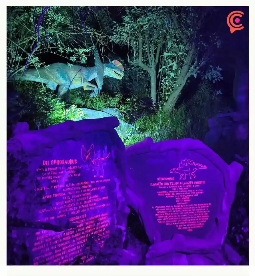 Conoce el nuevo espectáculo bioluminiscente de Volcanic Park; estará por corta temporada