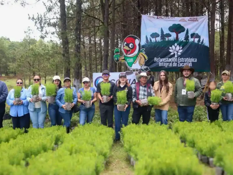 Zacatlán es ejemplo de reforestación a nivel estatal y nacional