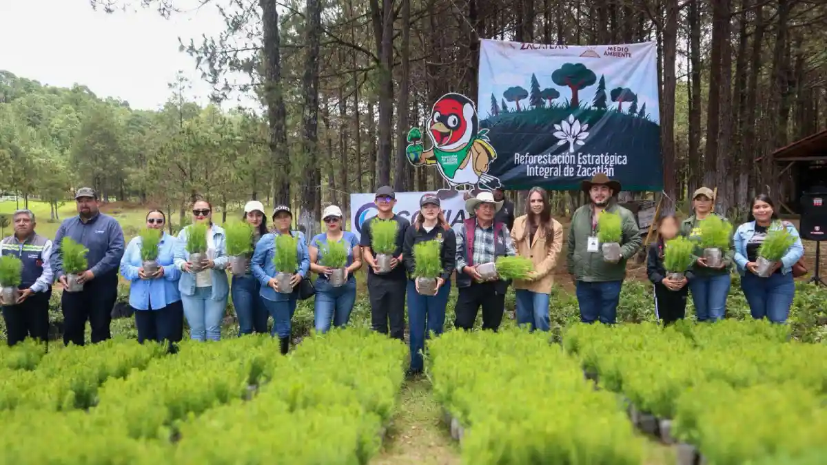 Zacatlán es ejemplo de reforestación a nivel estatal y nacional