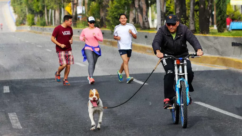 Habrá colecta de croquetas en la Vía Recreativa Metropolitana de Puebla el 27 de julio