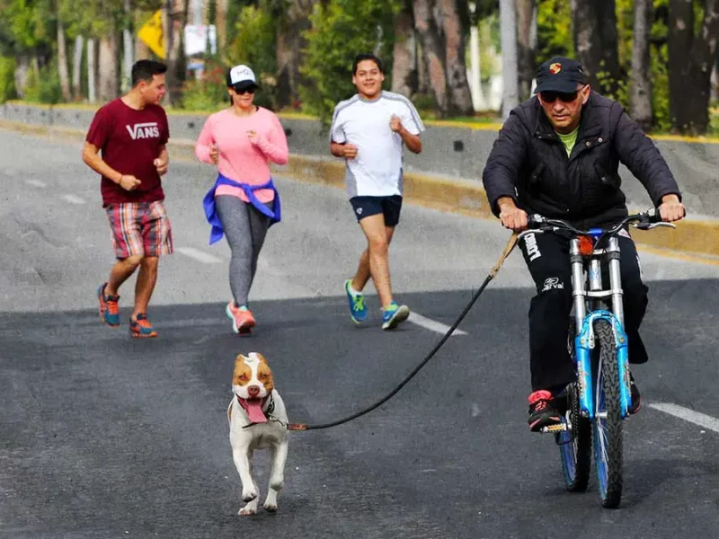 Habrá colecta de croquetas en la Vía Recreativa Metropolitana de Puebla el 27 de julio