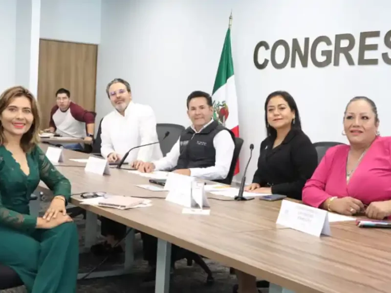 Analiza Comisión del Congreso acciones en materia de Organizaciones de la Sociedad Civil
