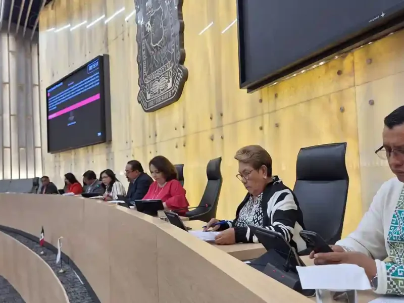 Promueven en Congreso prevención, detección y atención de trastornos mentales durante el embarazo