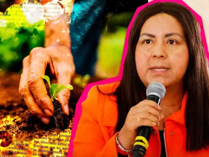 Puebla analiza producir sus propios biológicos para el campo: Desarrollo Rural
