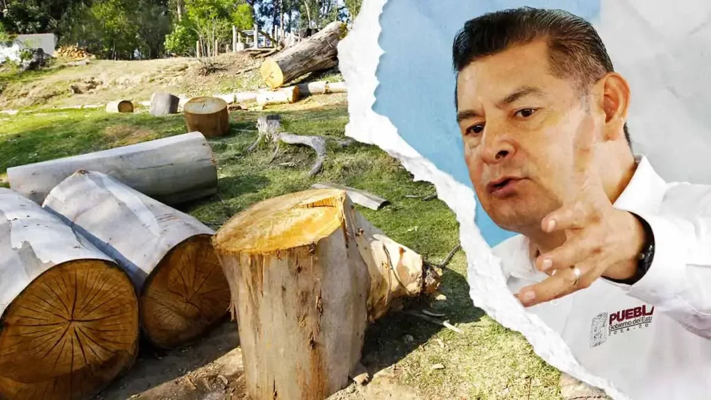 El 70% de los aserraderos en Puebla son ilegales: Alejandro Armenta