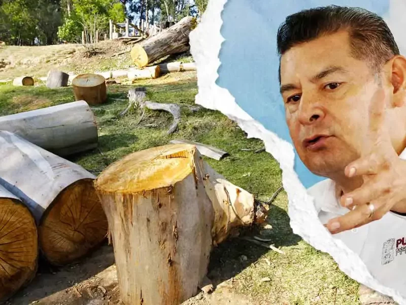 El 70% de los aserraderos en Puebla son ilegales: Alejandro Armenta