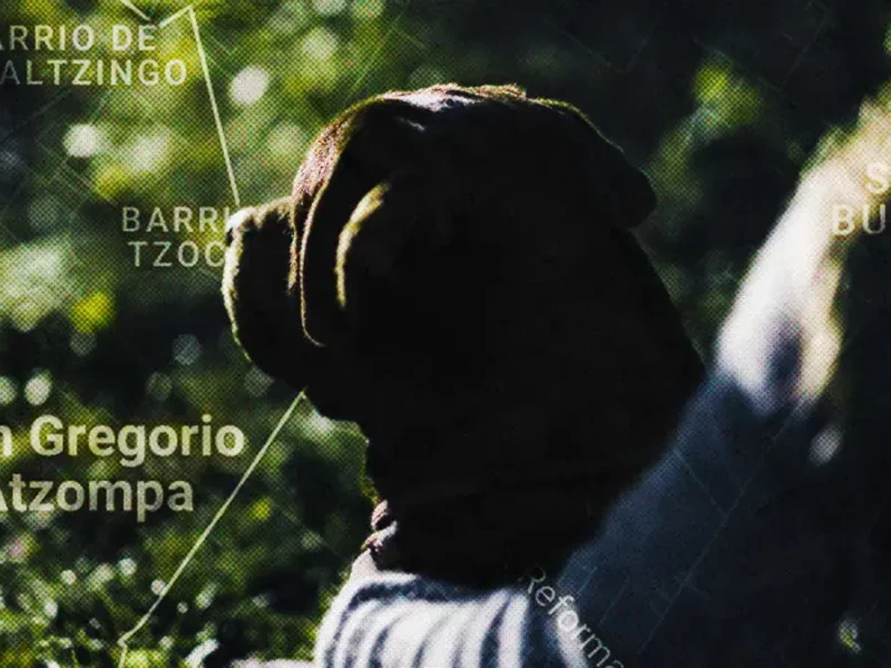 Vecinos reportan envenenamiento masivo de perros en San Gregorio Atzompa, Puebla
