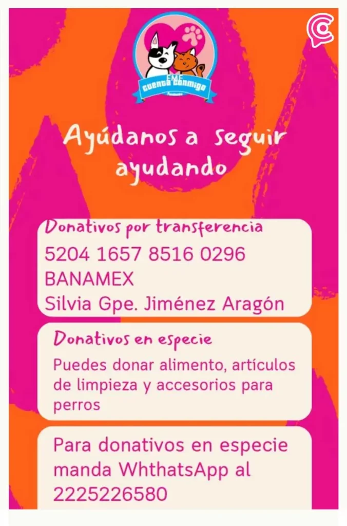 Vecinos reportan envenenamiento masivo de perros en San Gregorio Atzompa, Puebla