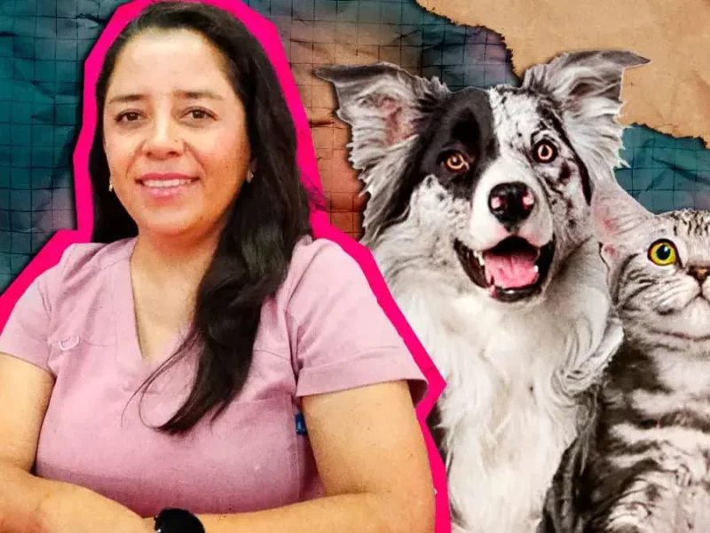 Hospital veterinario Upaep anuncia campaña de esterilización de mascotas gratuita el resto de 2025