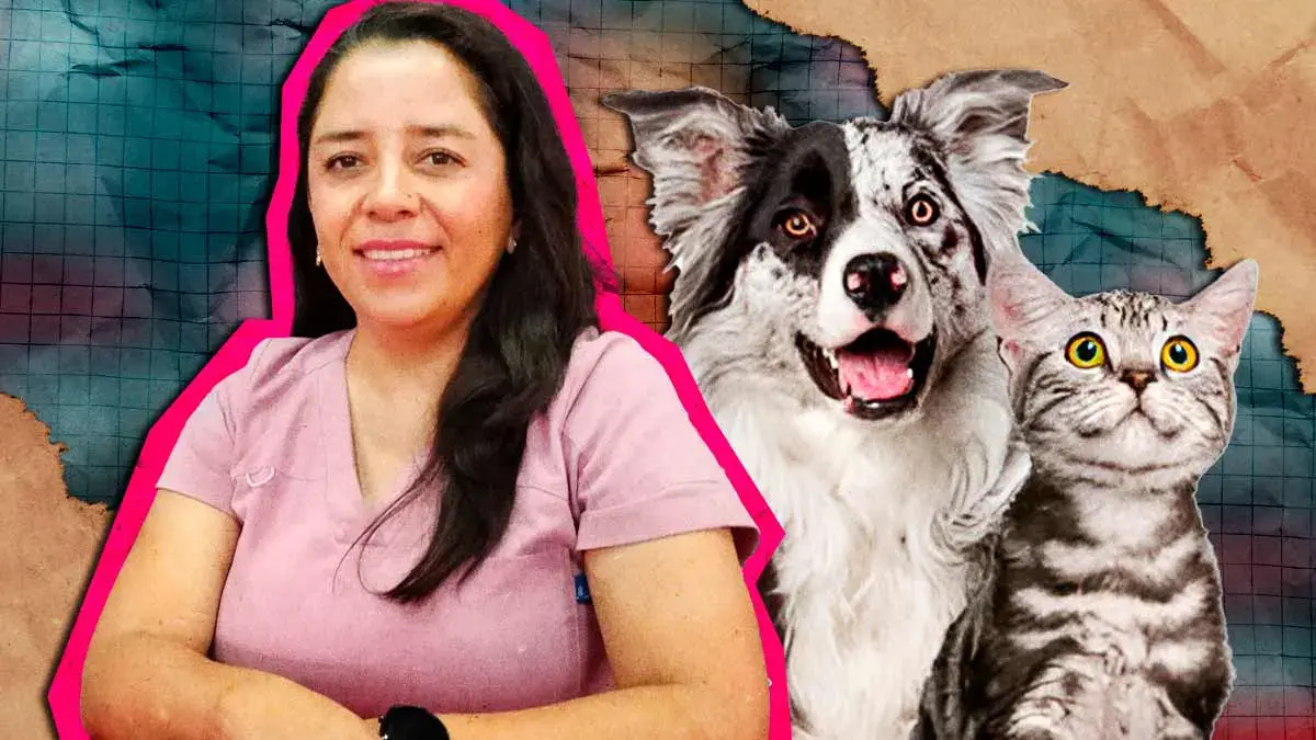 Hospital veterinario Upaep anuncia campaña de esterilización de mascotas gratuita el resto de 2025