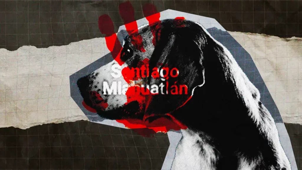 Santiago Miahuatlán, Puebla suma ocho casos de maltrato animal en lo que va del 2025