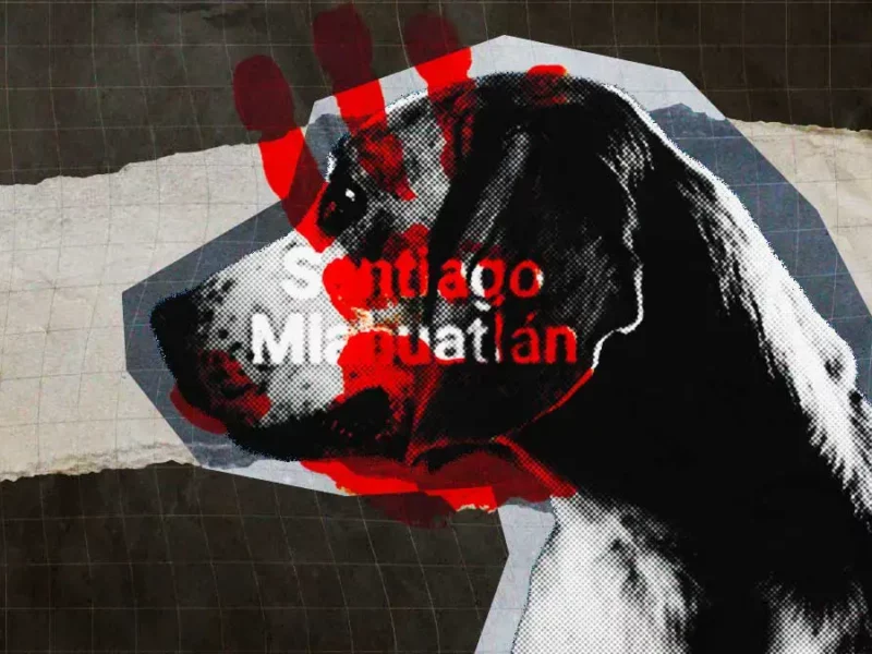Santiago Miahuatlán, Puebla suma ocho casos de maltrato animal en lo que va del 2025
