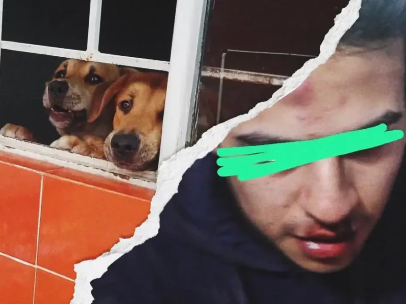 Defensores de animales son agredidos por maltratadores de perros en Puebla