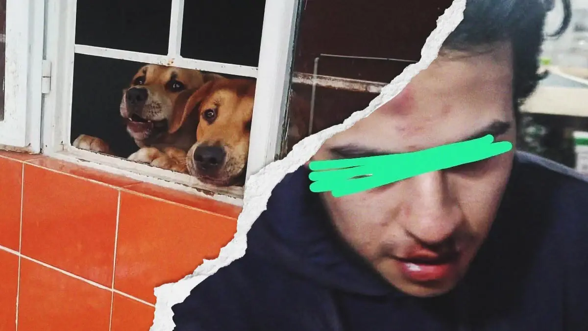 Defensores de animales son agredidos por maltratadores de perros en Puebla