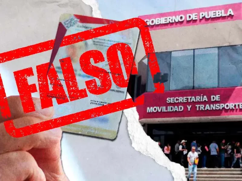Licencias de conducir falsas en Puebla; Fiscalía abre investigación tras denuncia de SMT
