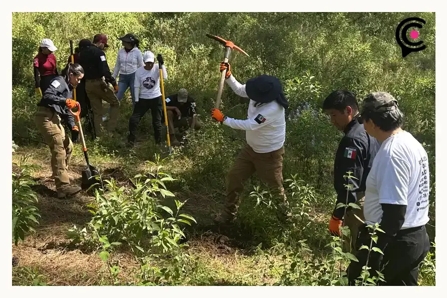Puebla acumula más de 400 desaparecidos durante gobierno de Alejandro Armenta; 300 ya fueron localizados